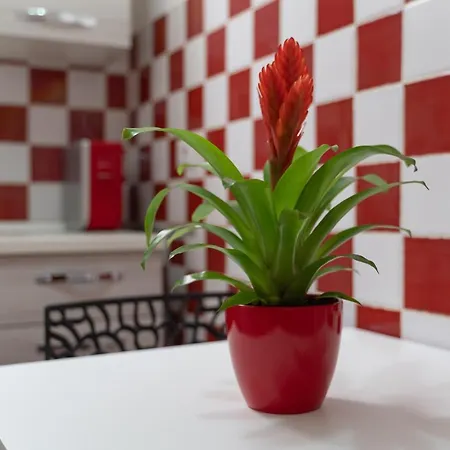 Pepigall Appartement Alghero