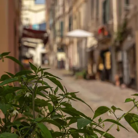 Pepigall Appartement